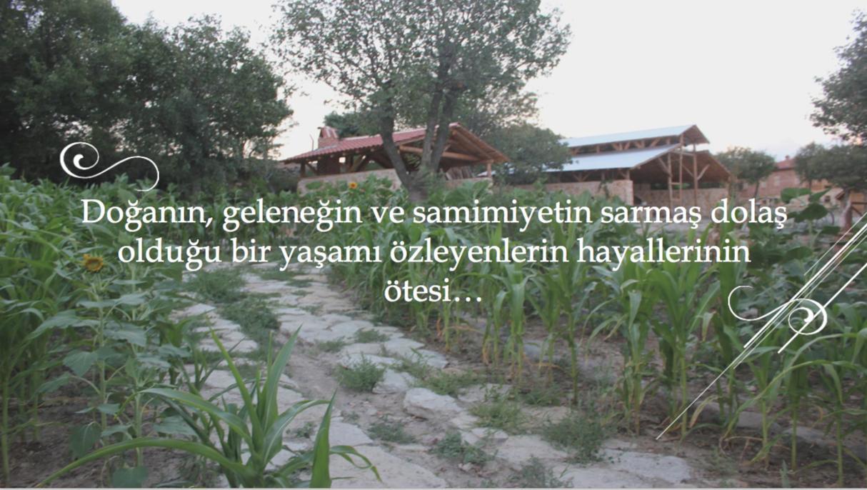 Yasayan Koy Hotel Kizilcasogut Exterior photo